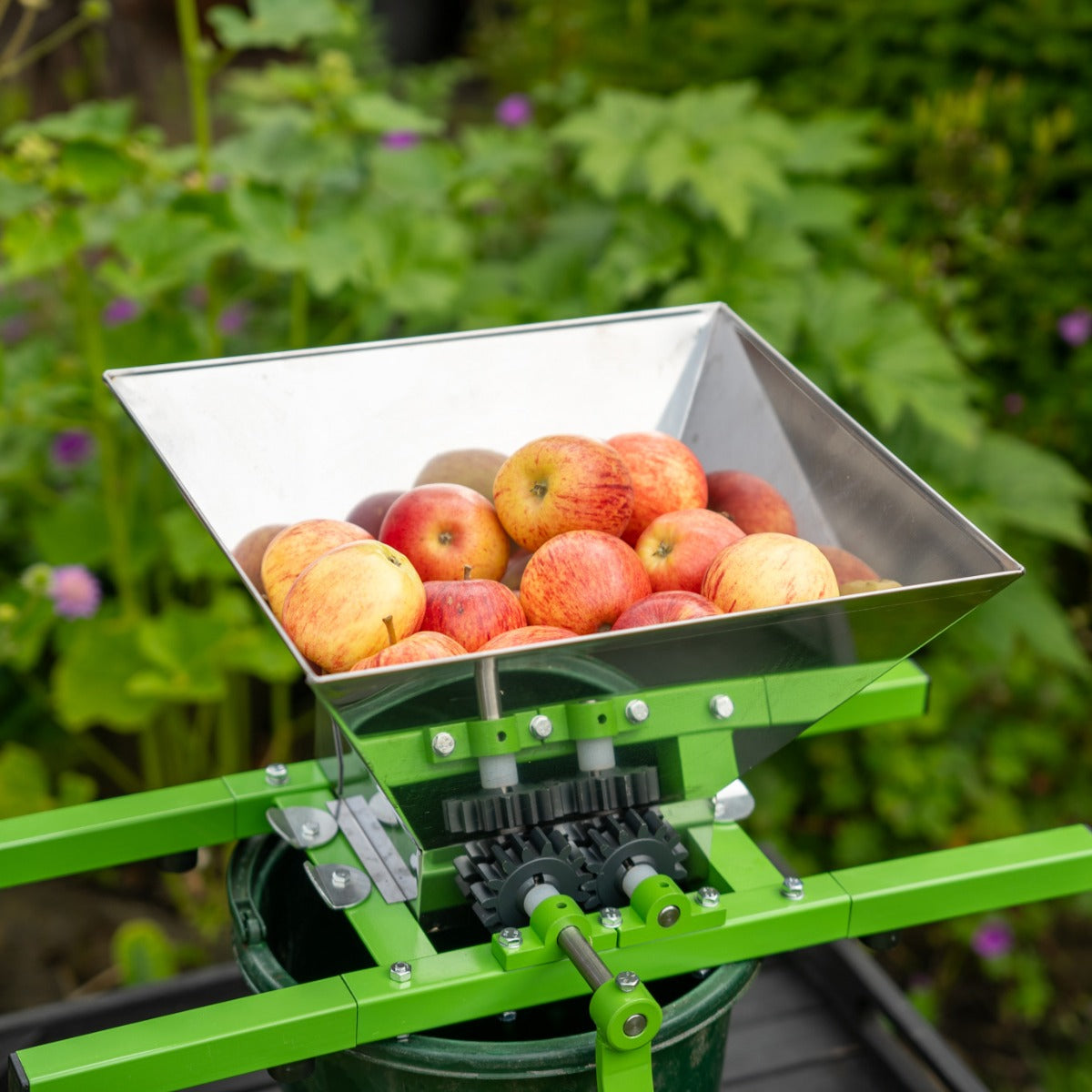 Torchio per frutta verde con contenitore in metallo, carico di mele rosse pronte per la spremitura, circondato da piante verdi