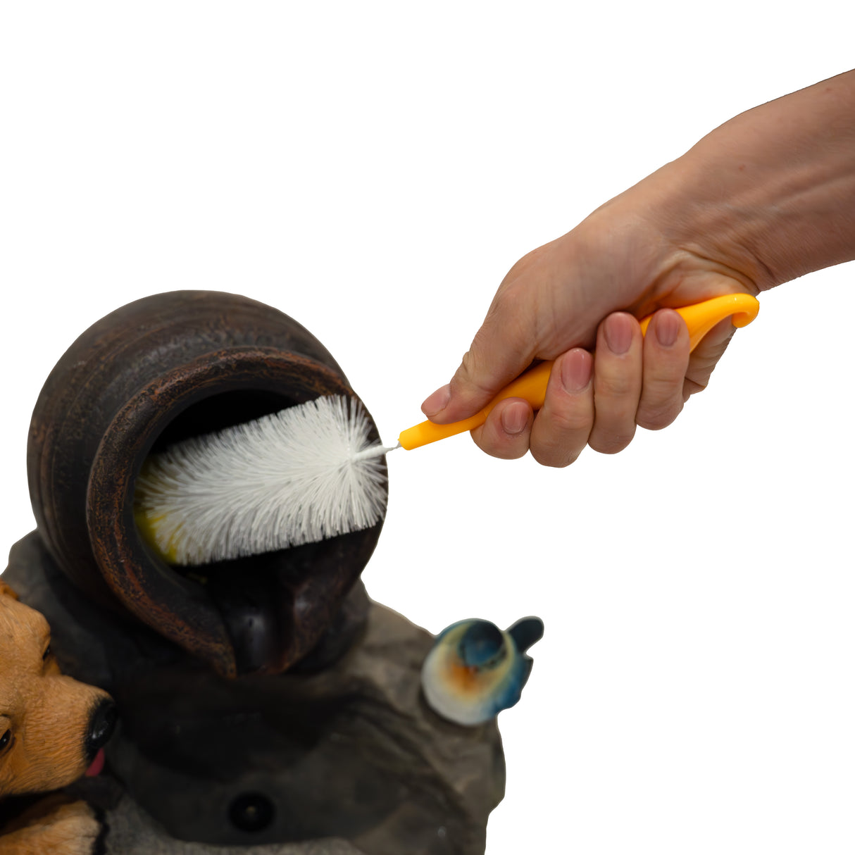 Fontana d’Acqua Elettrica – Canine Creek