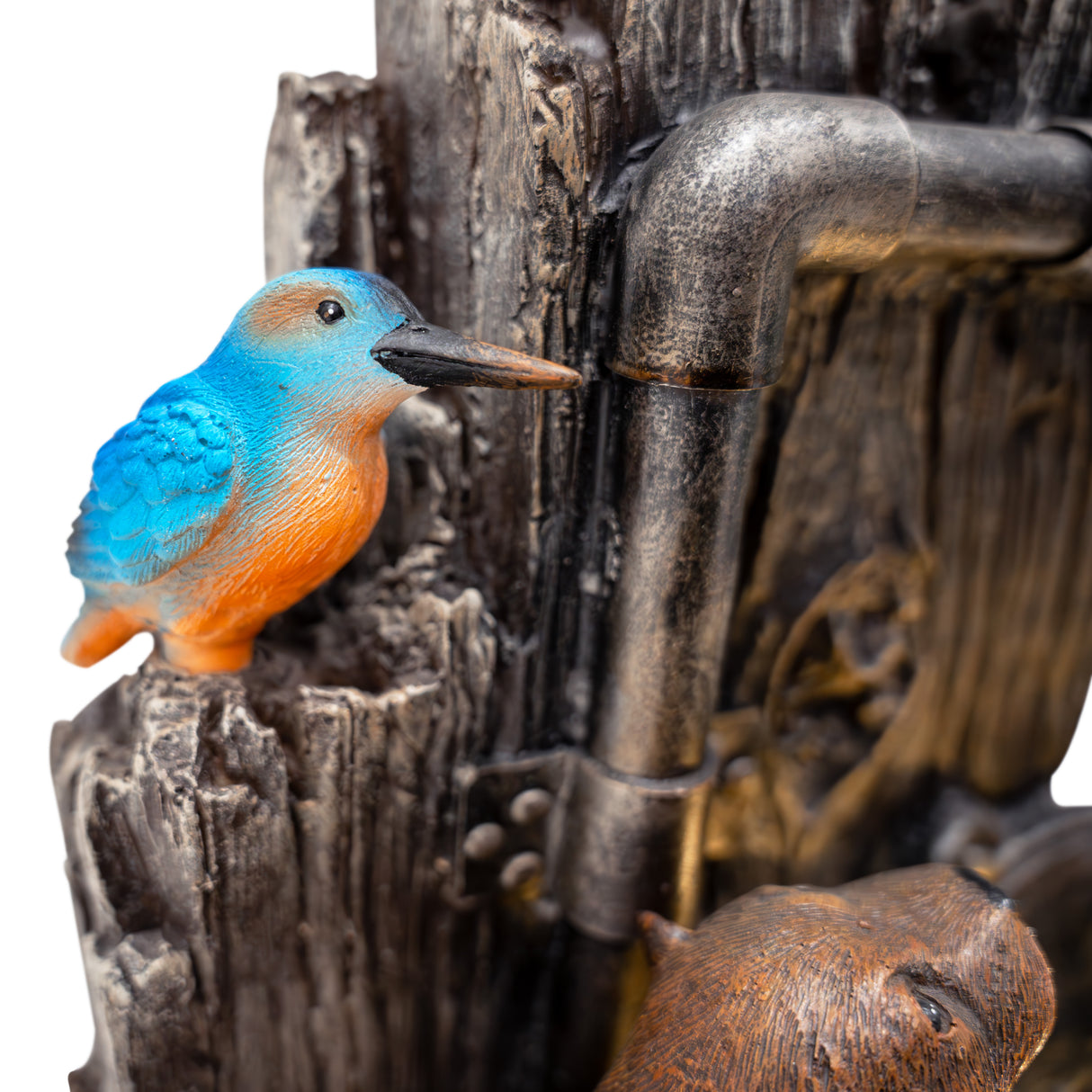 Fontana d’Acqua Elettrica – Otter Oasis