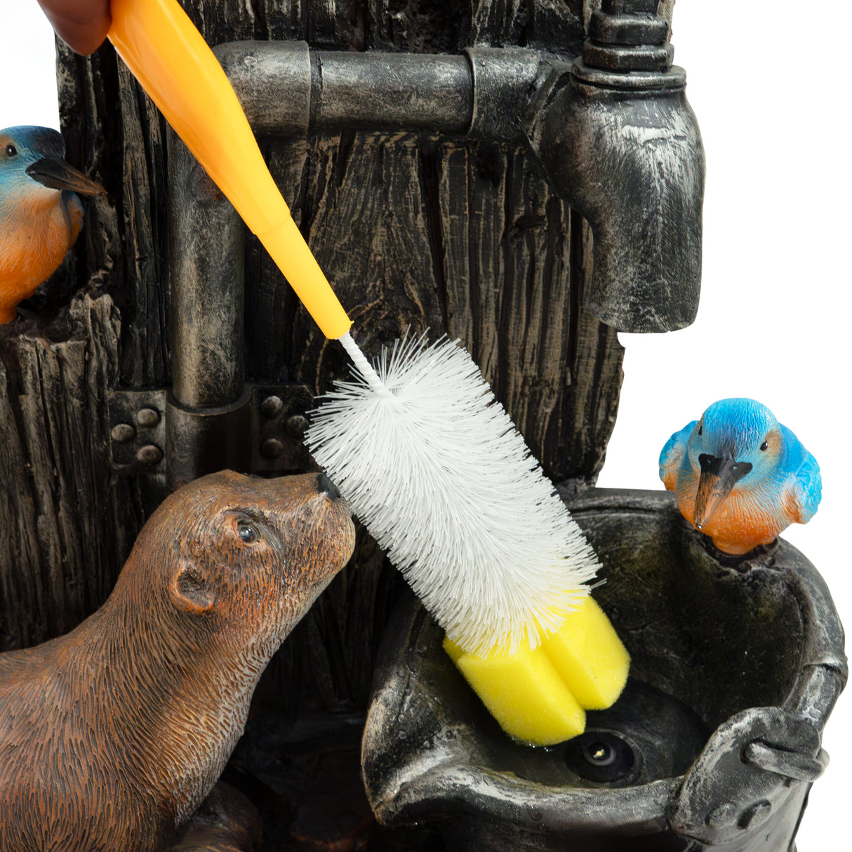 Fontana d’Acqua Elettrica – Otter Oasis