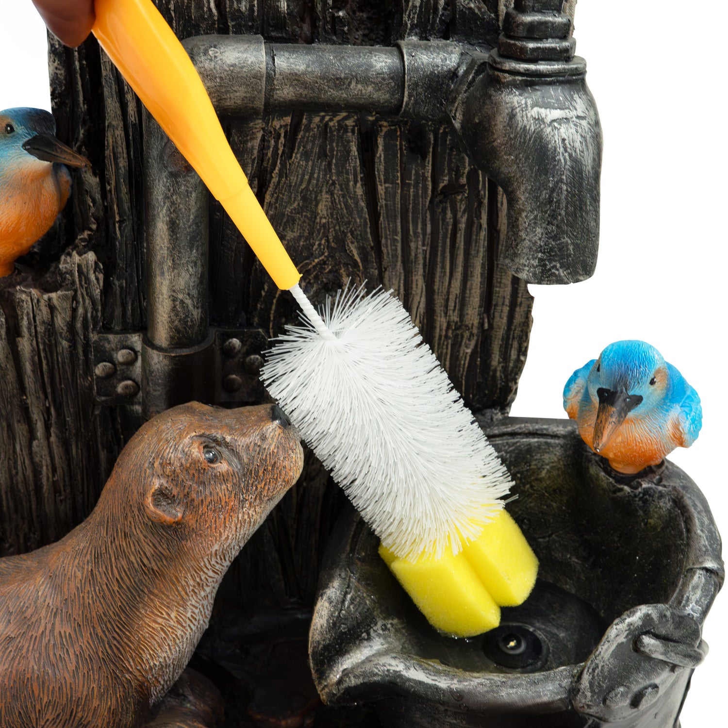 Fontana d’Acqua Elettrica – Otter Oasis