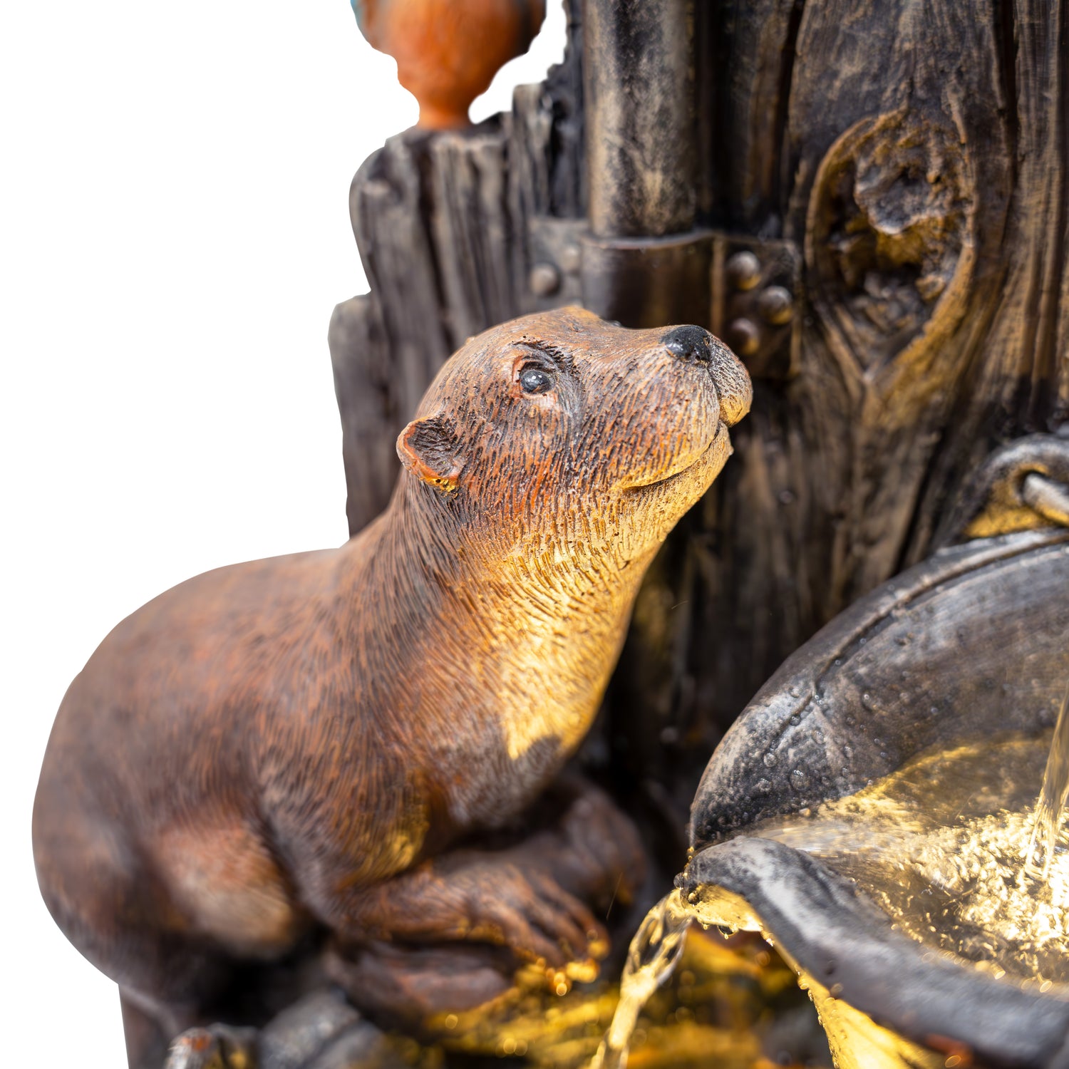 Fontana d’Acqua Elettrica – Otter Oasis