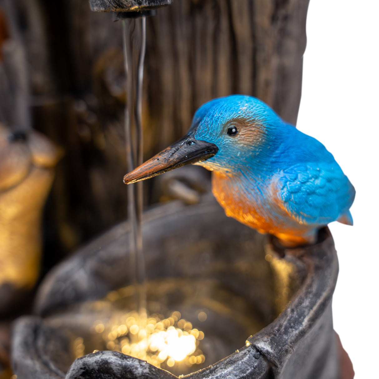 Fontana d’Acqua Elettrica – Otter Oasis