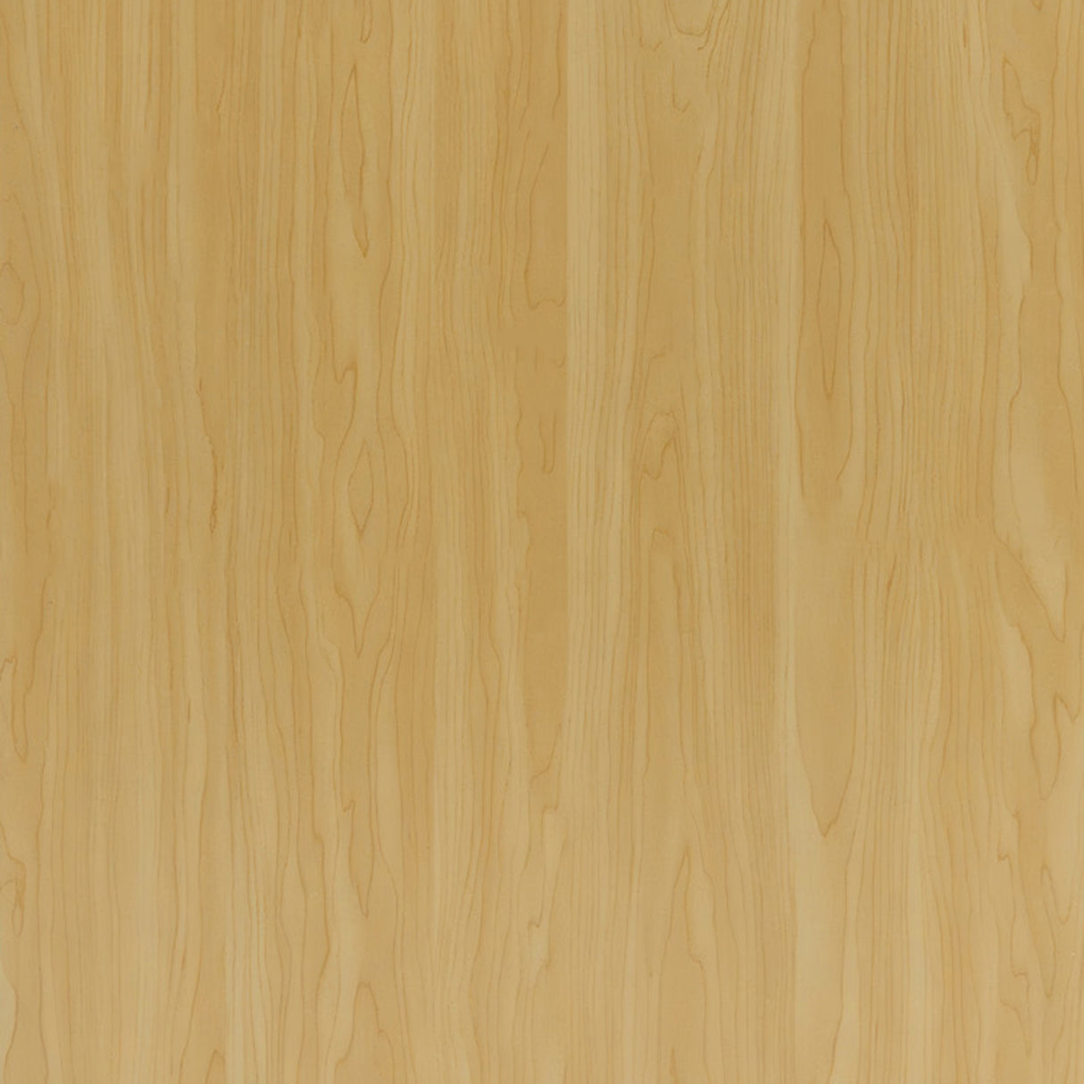 Bancone da Negozio TB40 in Acero