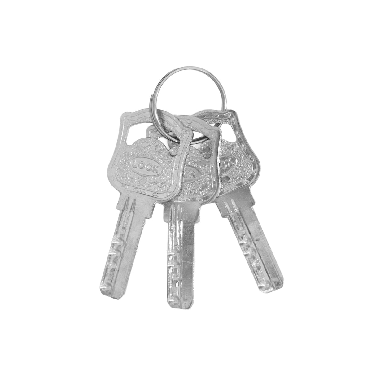 Chiavi metalliche argentate su un anello, con dettagli incisi e forma rettangolare, pronte per l'uso su serrature di porte