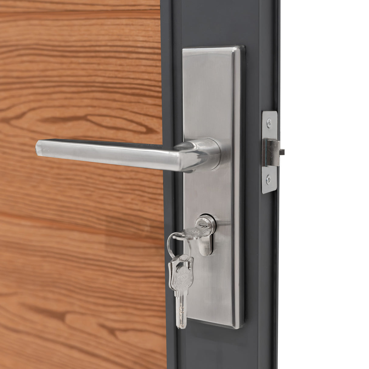 Porta da giardino in pannello ecolegno marrone con maniglia in acciaio inox e serratura, design moderno e resistente per esterni
