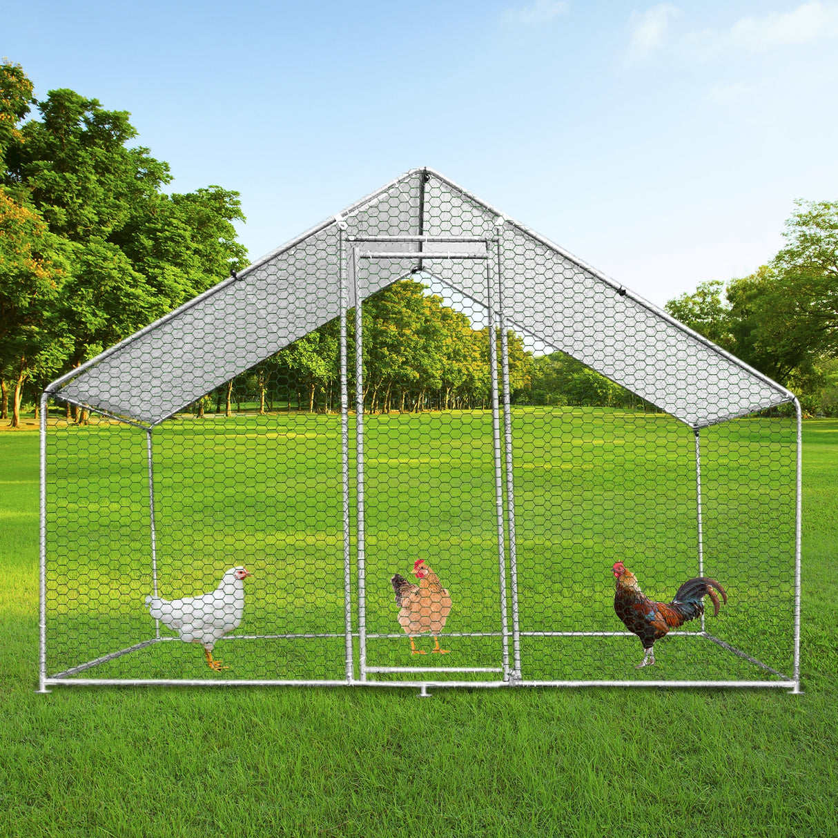 Recinzione pollaio 3x2m in metallo zincato, rete esagonale, con galline e un gallo su prato verde, ideale per allevamento all'aperto