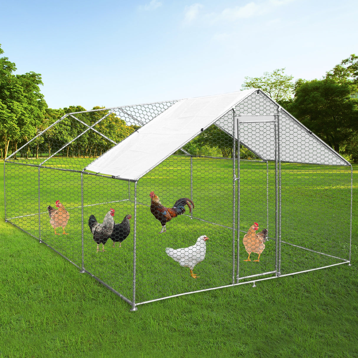 Recinzione pollaio 4x6m in rete metallica, struttura robusta, tetto bianco, galline di vari colori che razzolano su erba verde