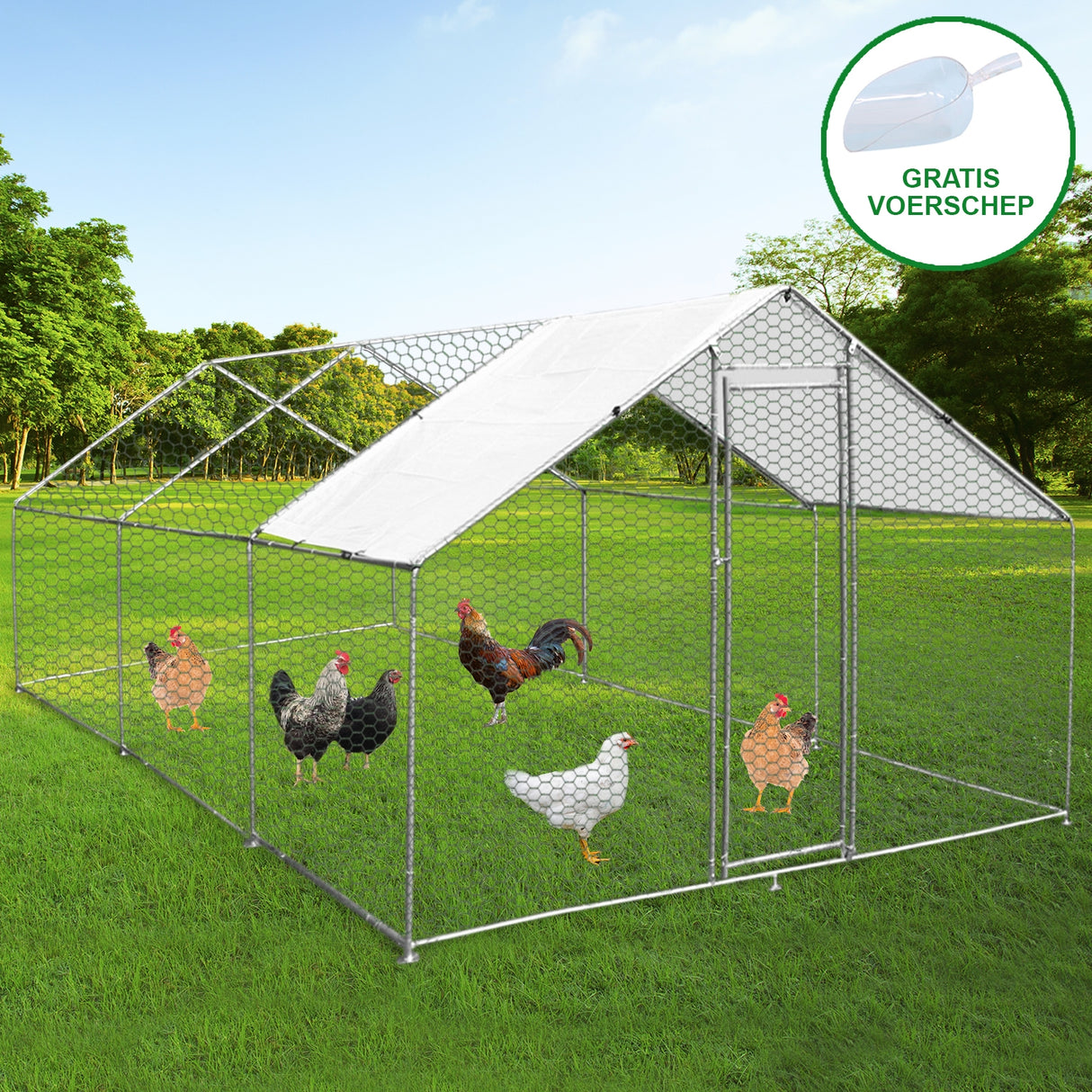 Recinzione per pollai 4x6m in rete metallica, con tetto bianco, ospita galline di vari colori su erba verde, ideale per allevamento all'aperto