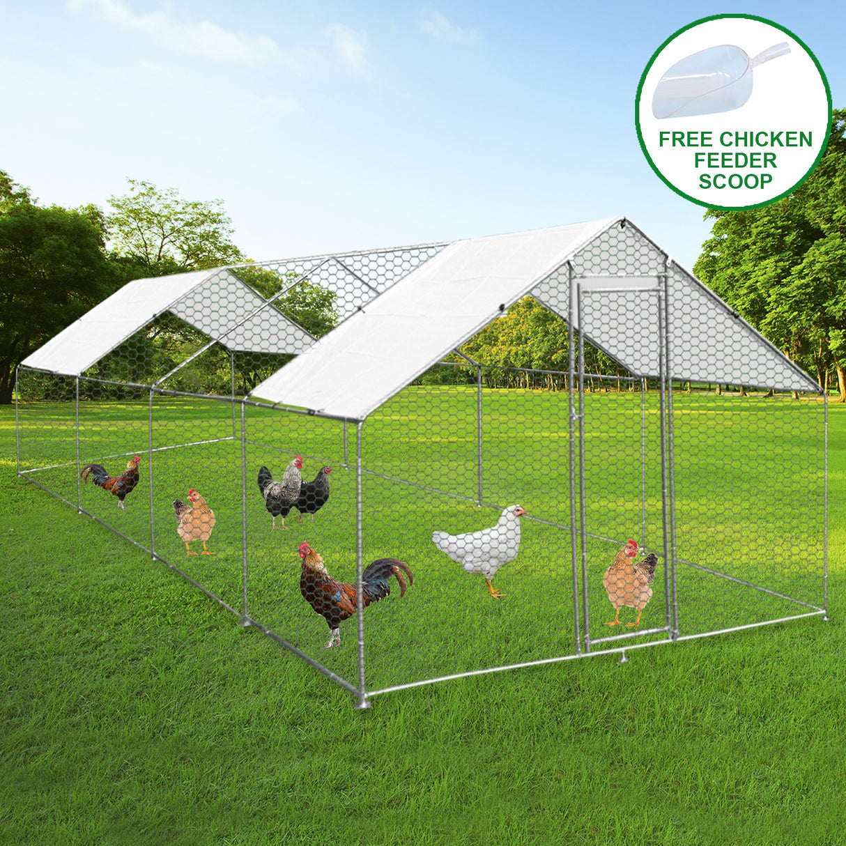 Recinzione per pollai 4x8m in rete metallica, con tetto bianco, animali all'interno su prato verde, ideale per allevamento all'aperto