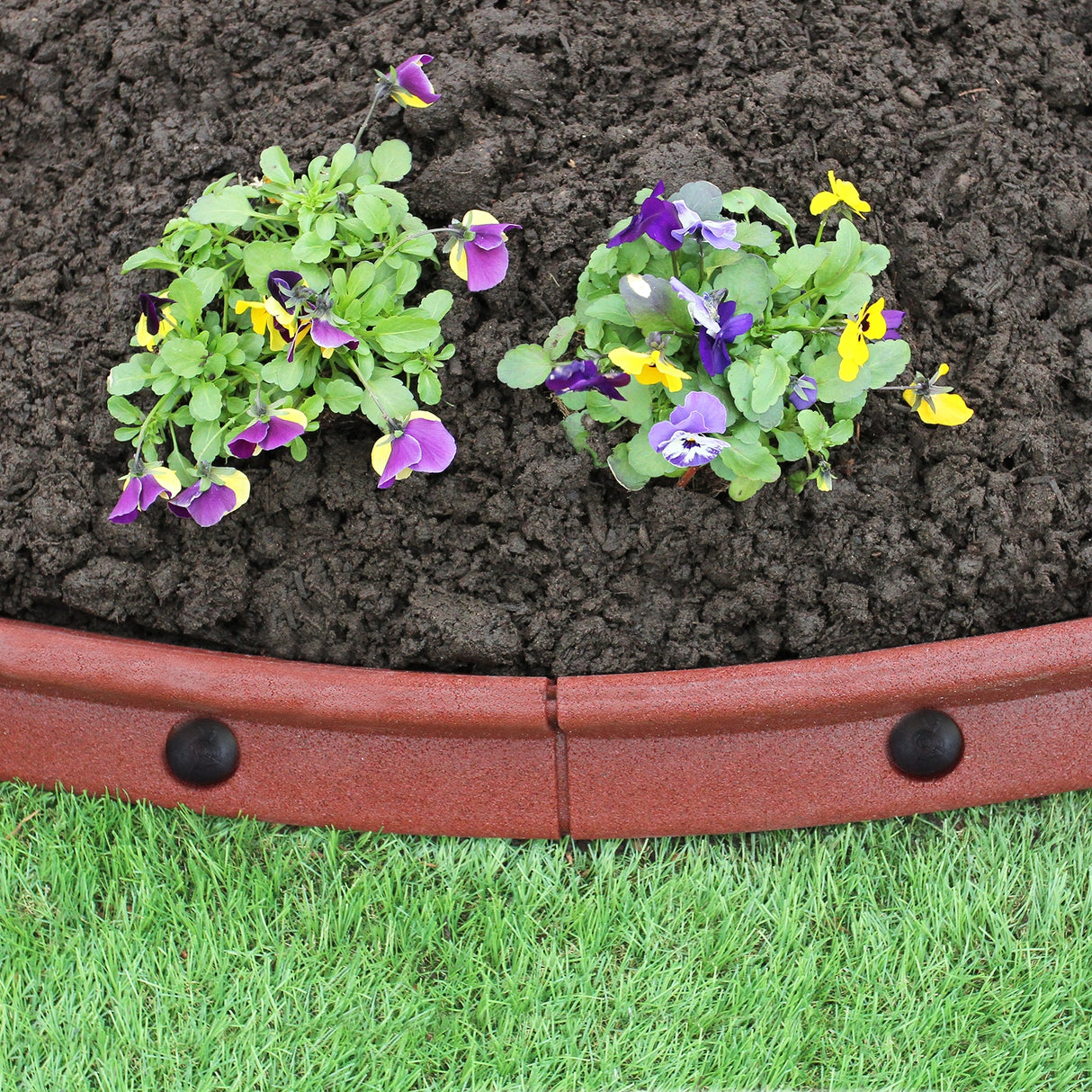 Bordatura da giardino flessibile in terracotta, con fiori colorati e verde erba, ideale per delimitare aiuole e spazi verdi