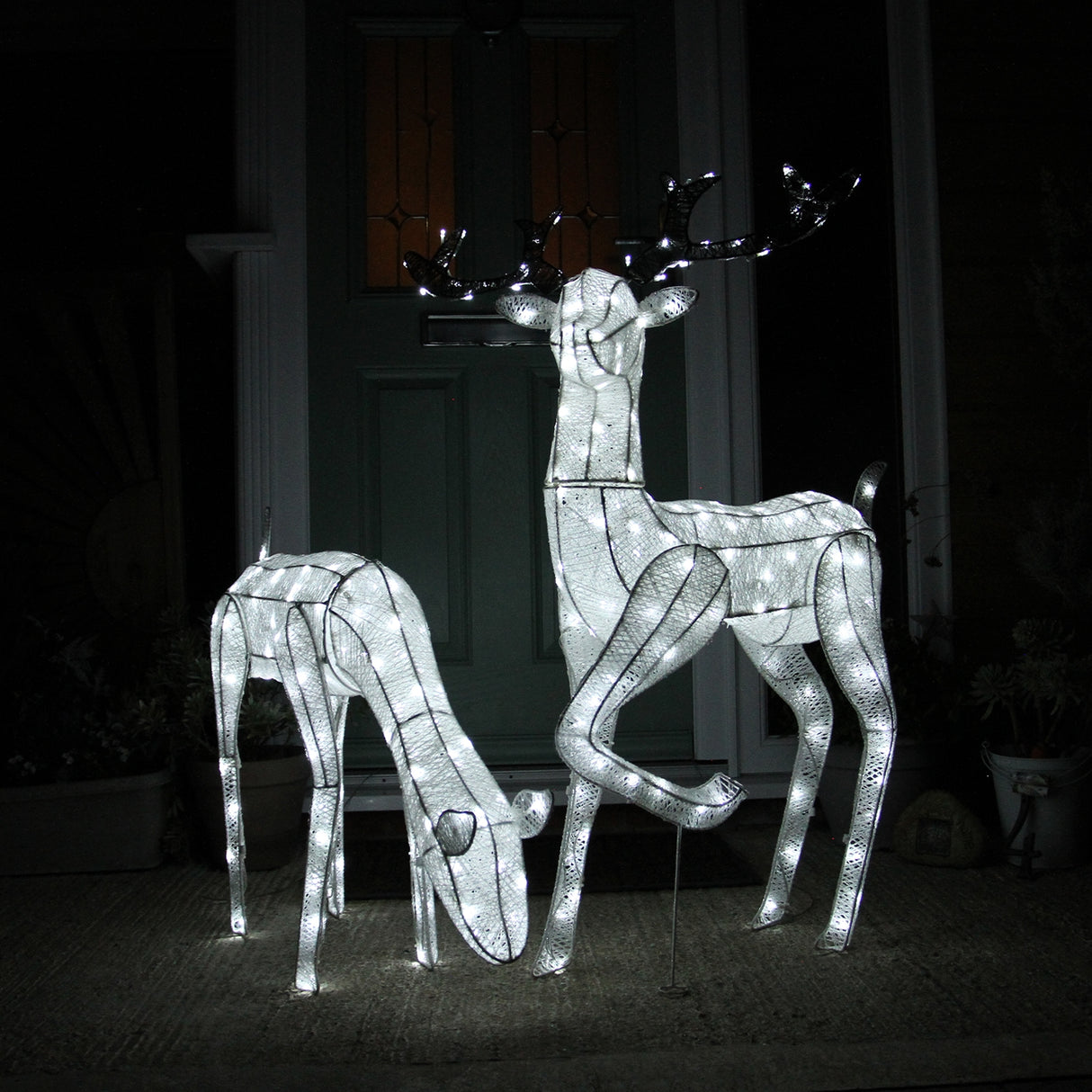 Due renne di Natale luminose, una maschio e una femmina, illuminate da luci bianche, con dettagli trasparenti e struttura metallica elegante