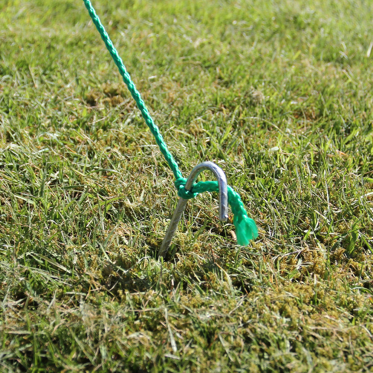 Picchetto in metallo verde fissato nel terreno, utilizzato per ancorare una serra da giardino a tunnel di 4m x 2m