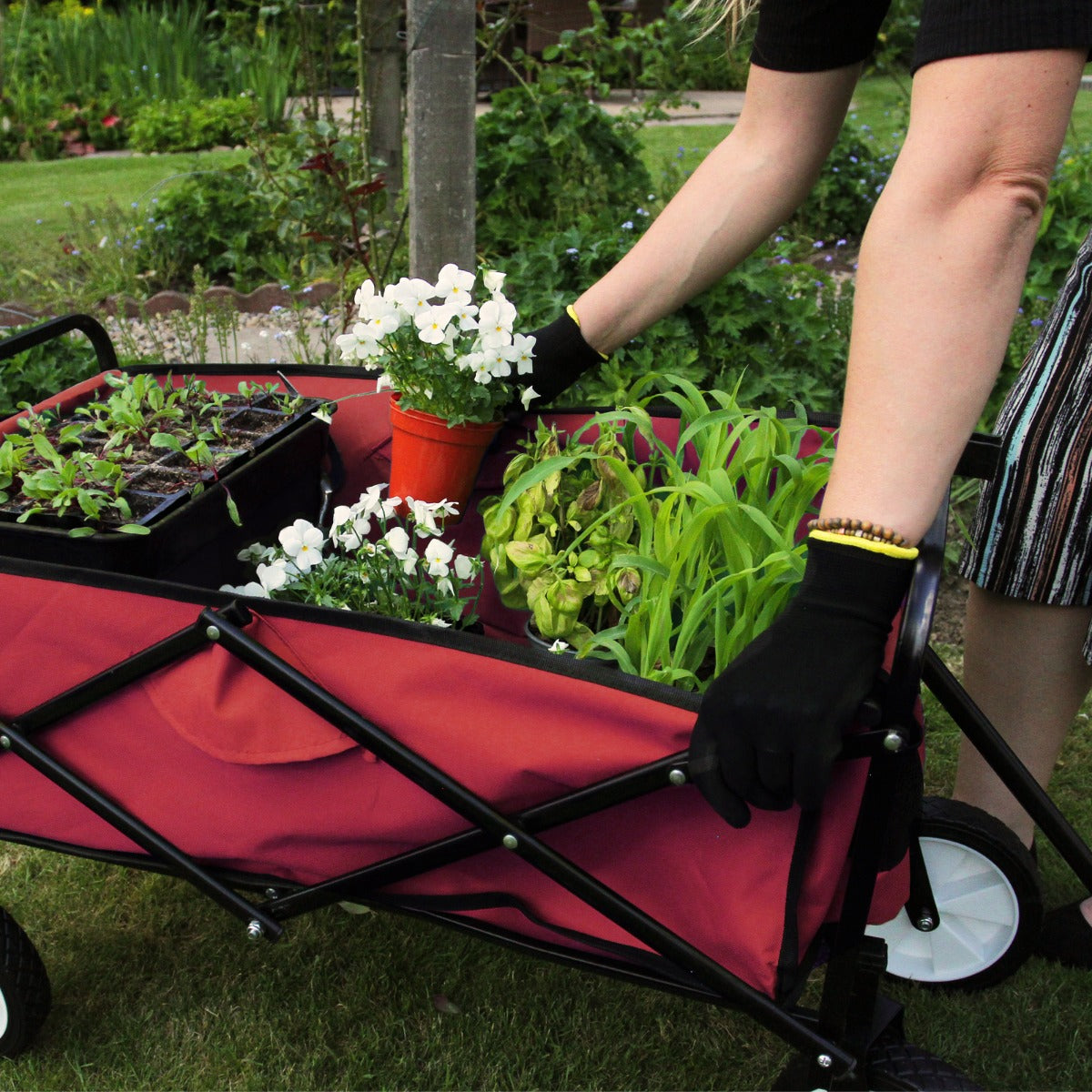 Carrello da giardinaggio pieghevole rosso con piante verdi e fiori bianchi, manico ergonomico e ruote robuste per facilità di movimento