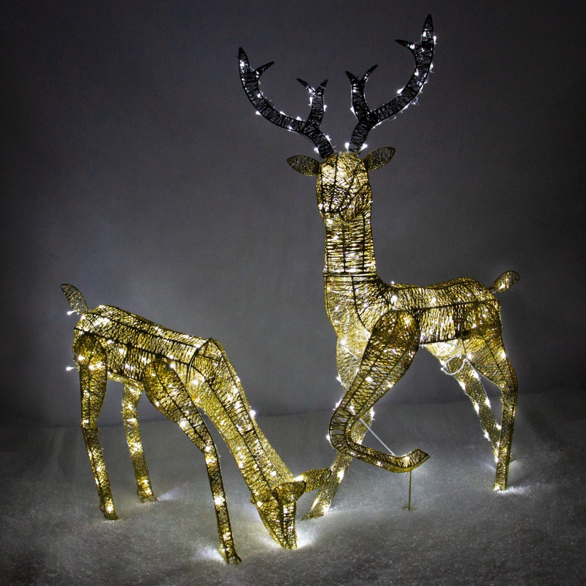 Renna di Natale luminosa maschio e femmina in oro, con dettagli metallici e luci bianche, su sfondo neutro e morbido
