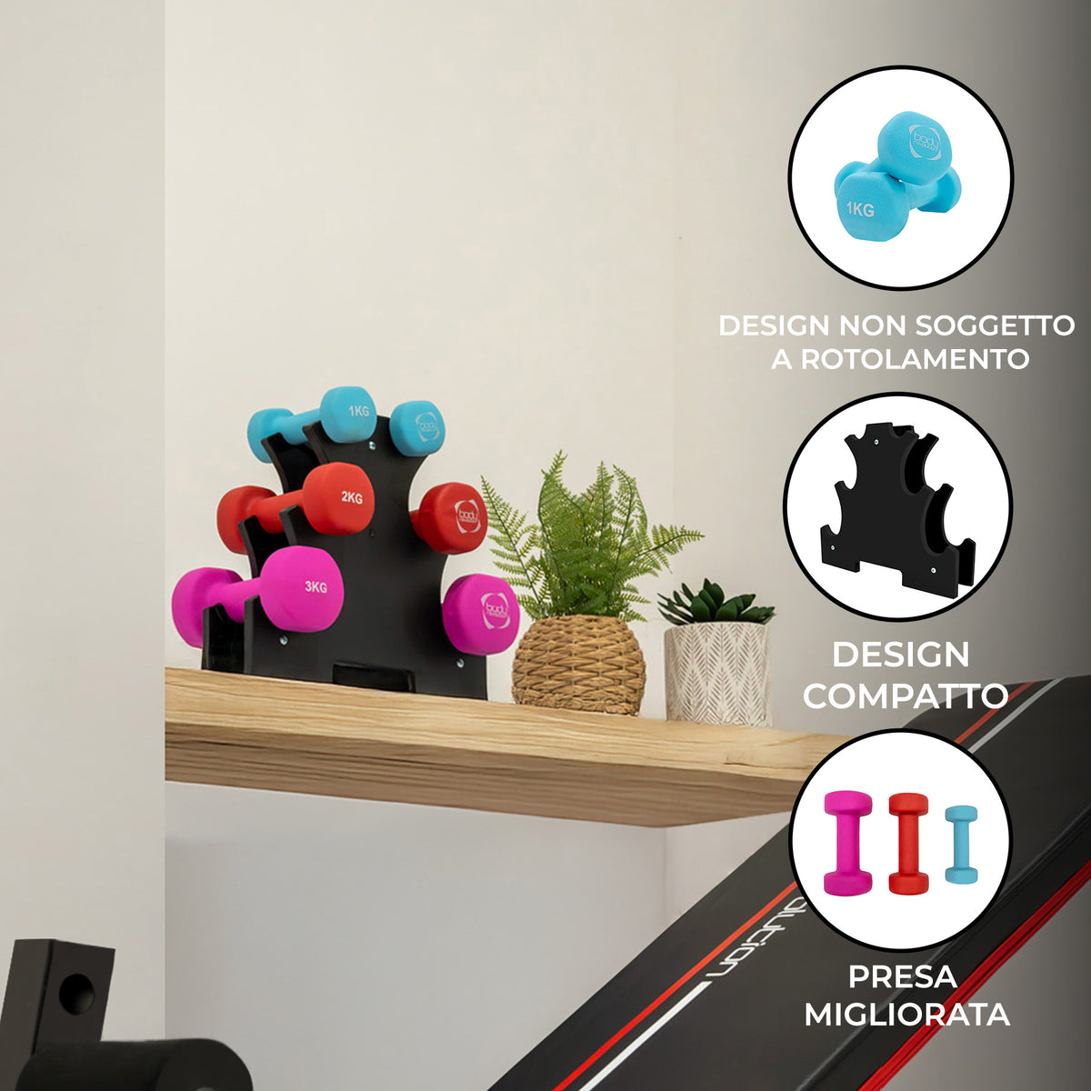 Set di manubri colorati in plastica, con pesi da 1kg, 2kg e 3kg, esposti su un ripiano di legno accanto a una pianta verde