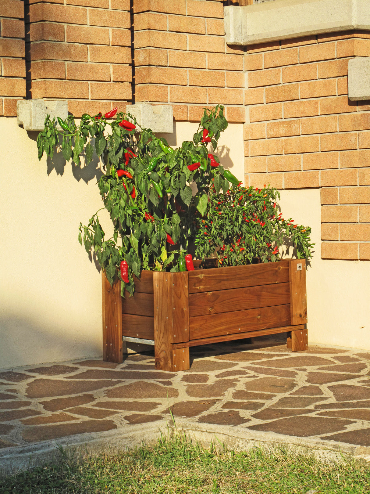Giardiniera a terra in legno color castagno, con piante verdi e peperoncini rossi, posizionata su pavimentazione in pietra naturale