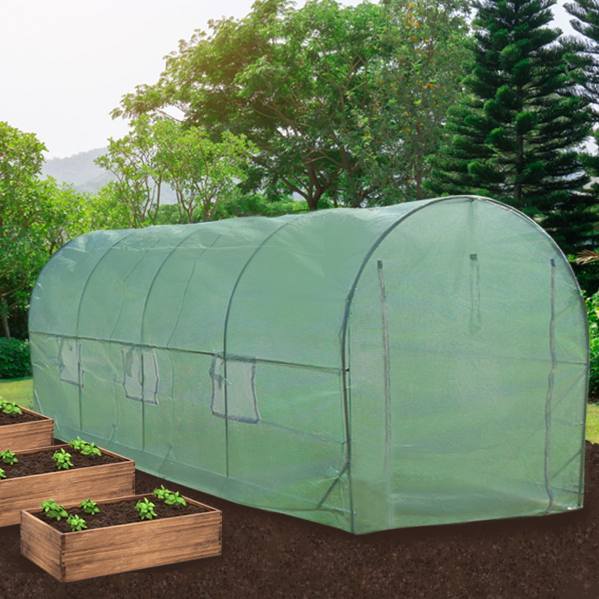 Serra da giardino a tunnel verde, 19mm, 5m x 2m, con scaffali in legno e piante in crescita, situata in un giardino soleggiato