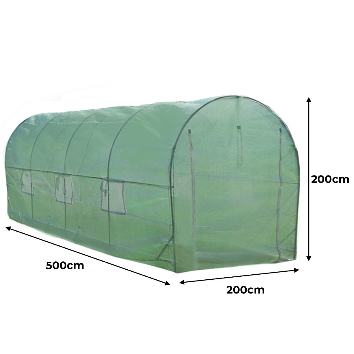 Serra da giardino a tunnel verde, 5m x 2m, con struttura in metallo e copertura in plastica traslucida, ideale per piante e ortaggi