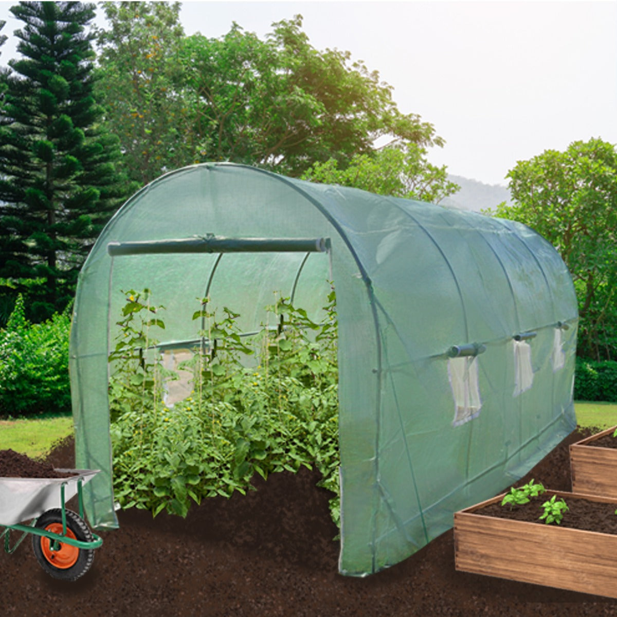 Serra da giardino a tunnel verde, 6m x 3m, con struttura in metallo e copertura in plastica trasparente, piante rigogliose all'interno