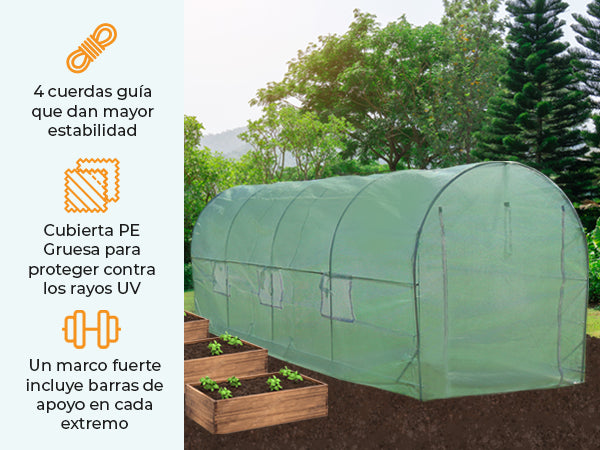 Serra da giardino a tunnel verde, 5m x 2m, con copertura PE spessa, struttura robusta e 4 corde guida per stabilità ottimale