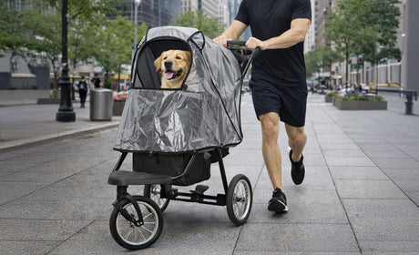 Carrozzine per animali: comfort, praticità e libertà negli spostamenti quotidiani