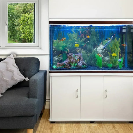 Acquario moderno con pesci colorati, piante verdi e legno decorativo, posizionato accanto a un divano grigio in un ambiente luminoso