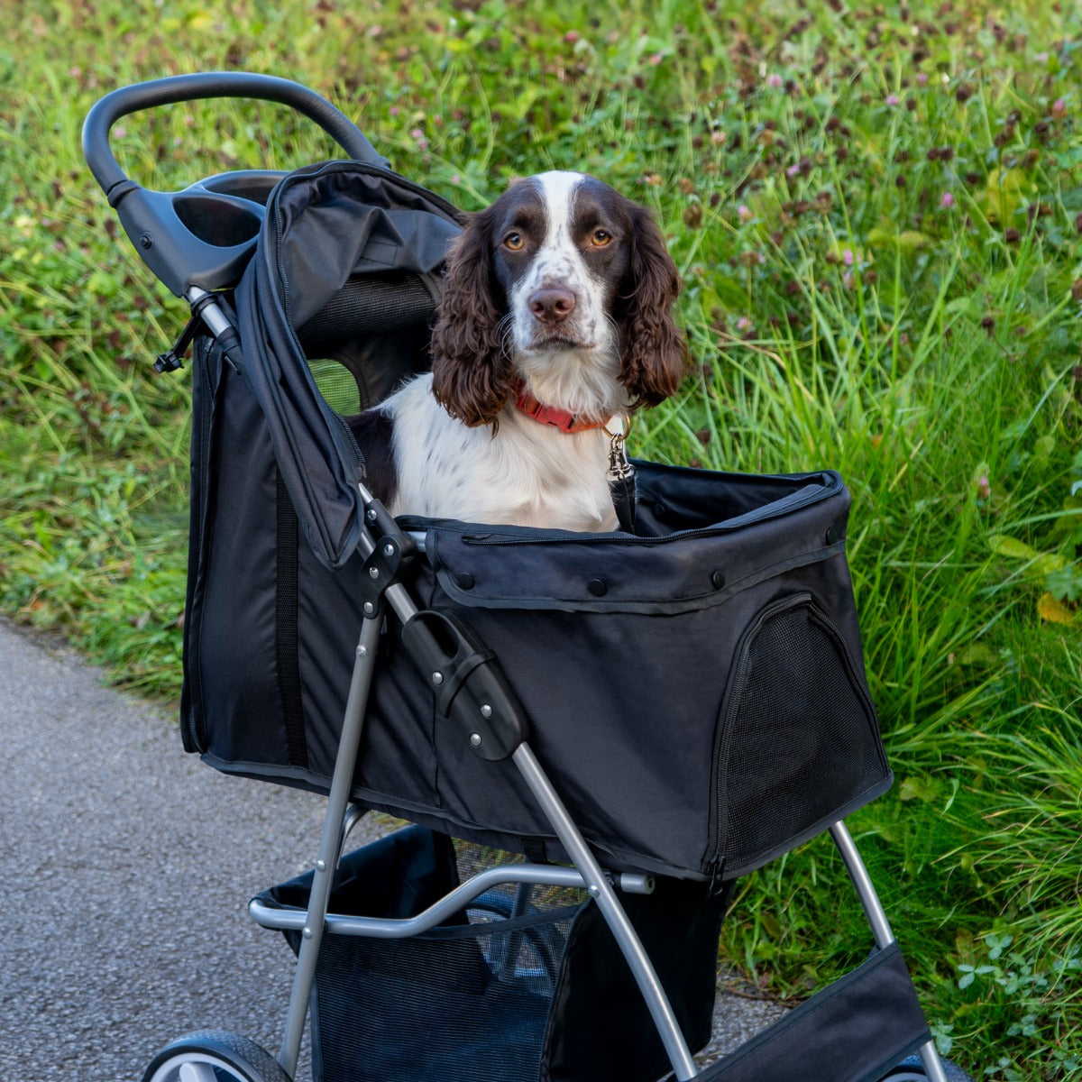 Passeggino per Animali Domestici con Parapioggia – Nero