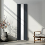 Radiatore Pannelli Ovali a Specchio - 1800 mm x 500 mm - Grigio Antracite
