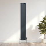 Radiatore a colonna ovale - 1800mm x 240mm - Grigio antracite