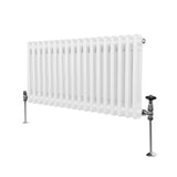 Radiatore Termosifone a 2 colonne - 300 x 832 mm - Bianco