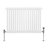 Radiatore Termosifone a 2 colonne - 600 x 832mm - Bianco