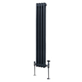 Radiatore Termosifone a 2 colonne - 1500 x 202 mm - Grigio antracite