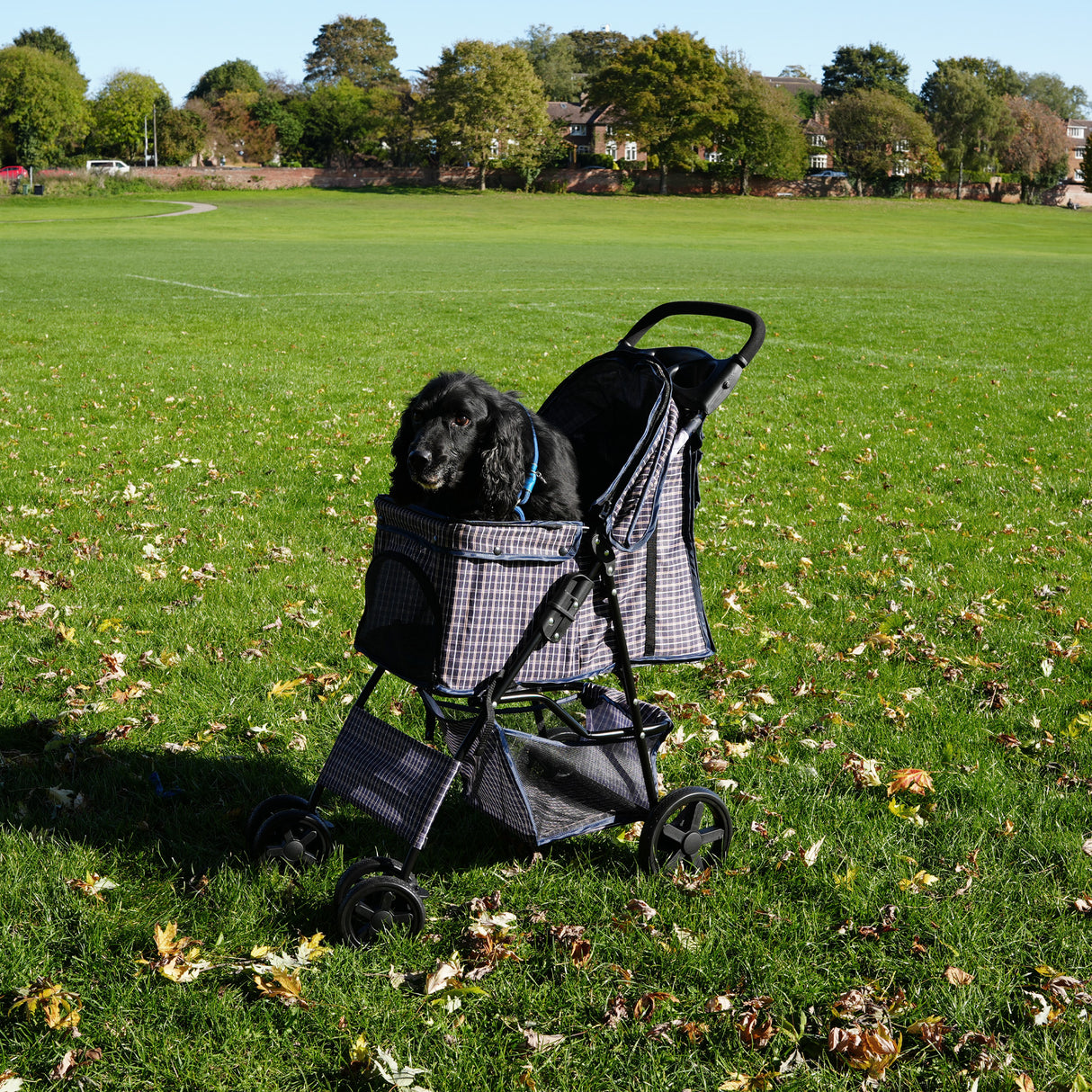 Passeggino per Animali con Copertura Antipioggia – Blu Tartan