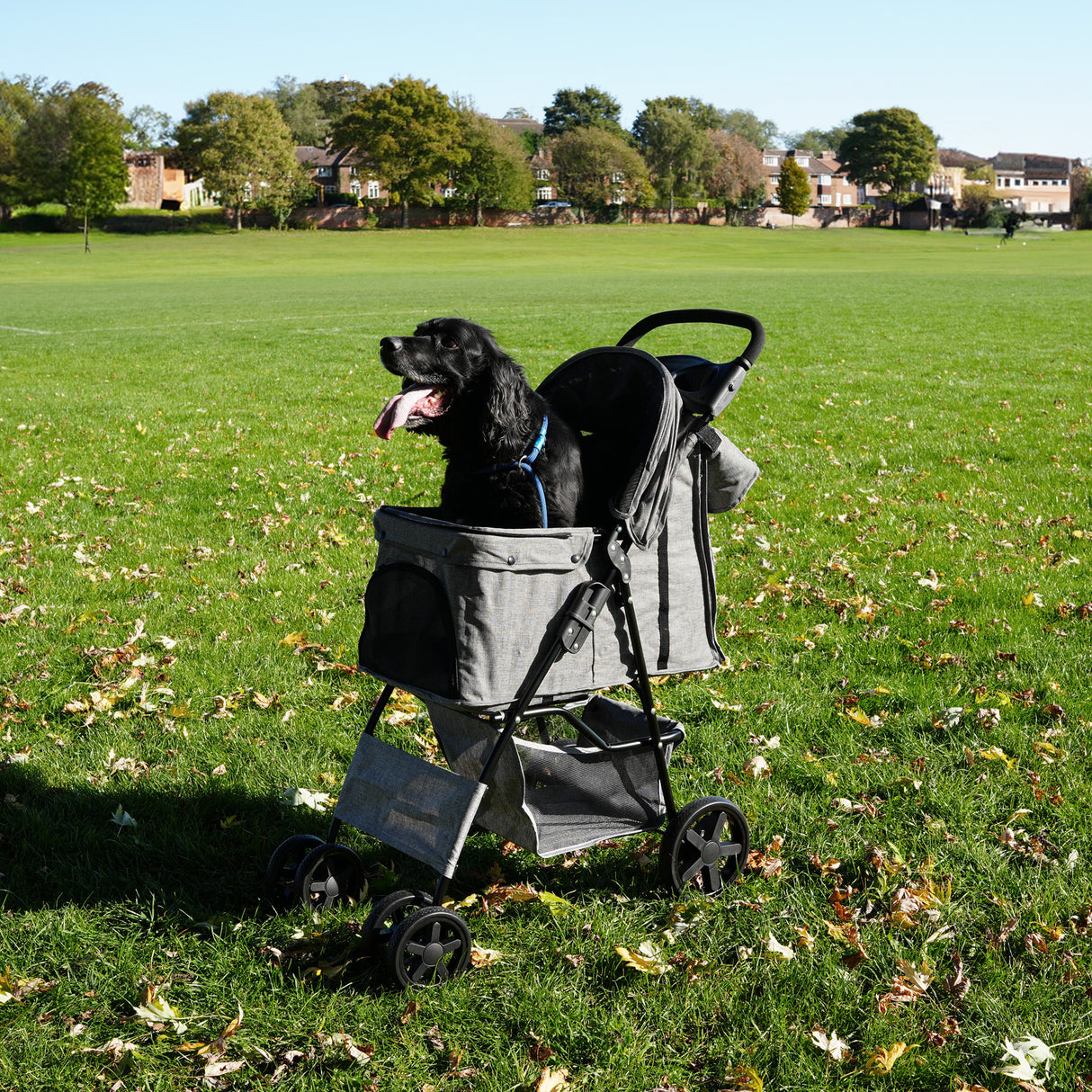 Passeggino per animali con copertura antipioggia e borsa organizer - Grigio