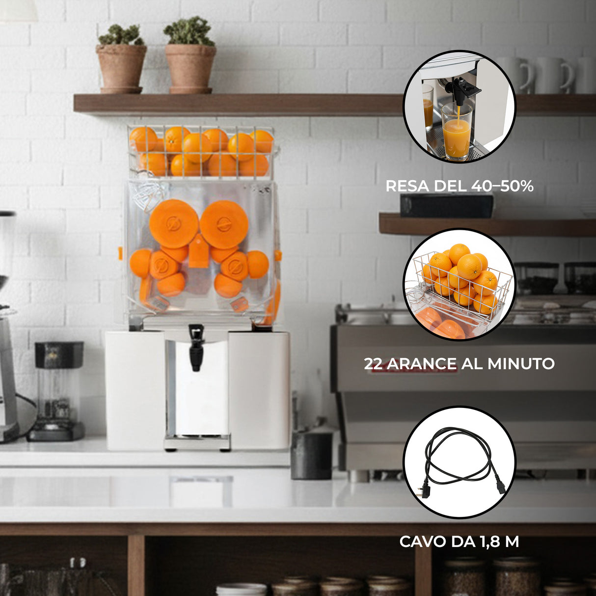 Spremiagrumi Professionale Elettrico