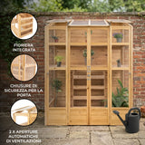 Serra Vittoriana da Giardino in Legno Naturale con Finestre Auto-Ventilate e Ripiani Regolabili