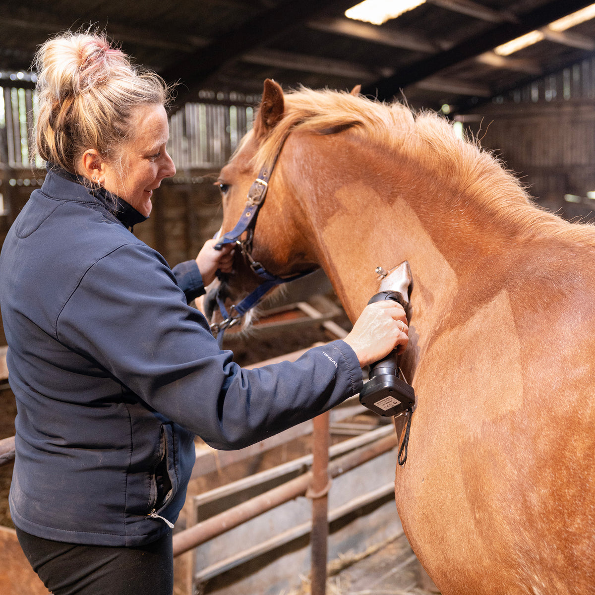 Donna che tosatura un cavallo di colore roano in una stalla, con attrezzatura professionale e ambiente rustico circostante