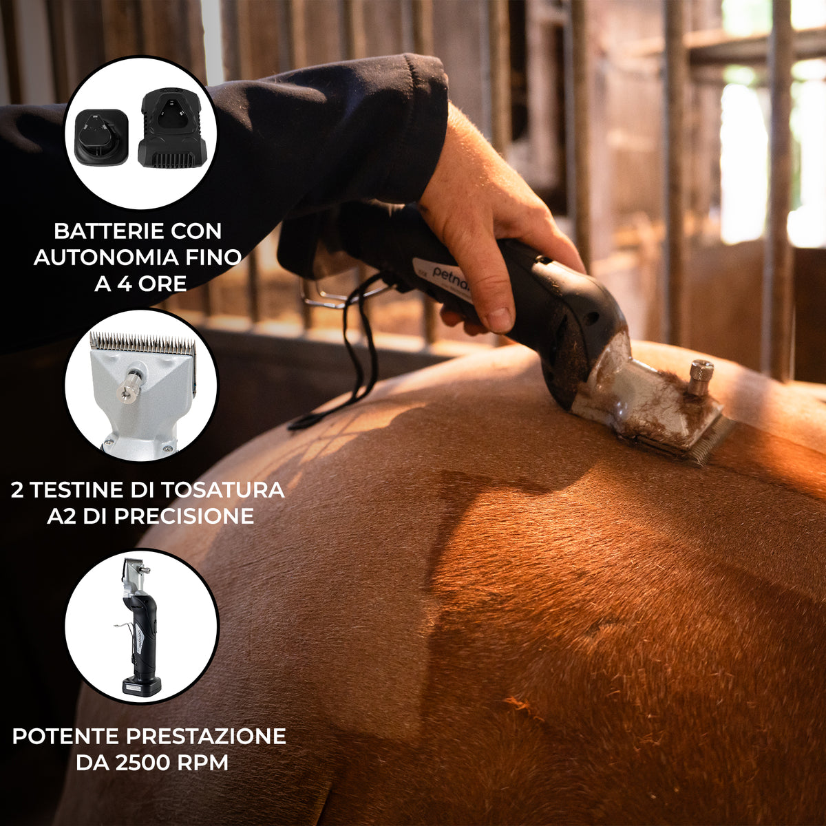 Tosatrice per animali con batteria a 4 ore, due teste di precisione A2 e prestazioni potenti a 2500 RPM, utilizzata su un cavallo