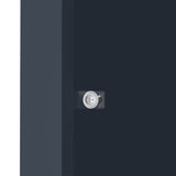 Copribidone Singolo 240 L Acciaio Zincato Antracite Effetto Legno Grigio