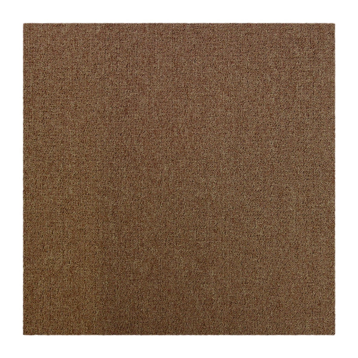 20 Quadrotte di Moquette 50x50cm 5mq in Beige