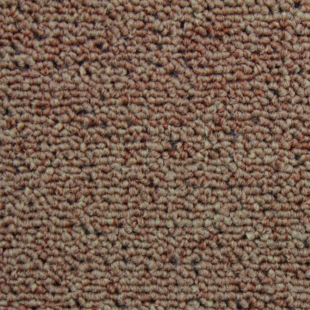 20 Quadrotte di Moquette 50x50cm 5mq in Beige