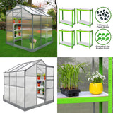 Serra 6x6 piedi con struttura verde, pareti trasparenti, piante in vaso, scaffali interni e accessori per il giardinaggio inclusi