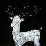 Renna di Natale Luminosa - Maschio - Bianco