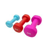 Set di manubri colorati in gomma, con pesi di 1 kg blu, 2 kg rosso e 3 kg rosa, perfetti per l'allenamento a casa