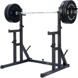 Rack per Squat Body Revolution