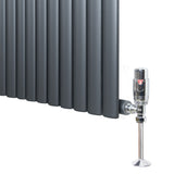Radiatore ovale a colonna singola orizzontale antracite, con finitura liscia e valvole cromate, dimensioni 600 x 1620 mm
