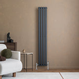 Radiatore ovale a colonna singola verticale antracite, con finitura liscia e valvole, posizionato su parete beige accanto a un divano chiaro