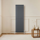 Radiatore Ovale a Colonna Singola Verticale con Valvole 1600 x 480 mm Antracite