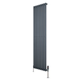 Radiatore Ovale a Colonna Singola Verticale con Valvole 1800 x 480 mm Antracite